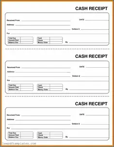 Fillable Cash Receipt Template